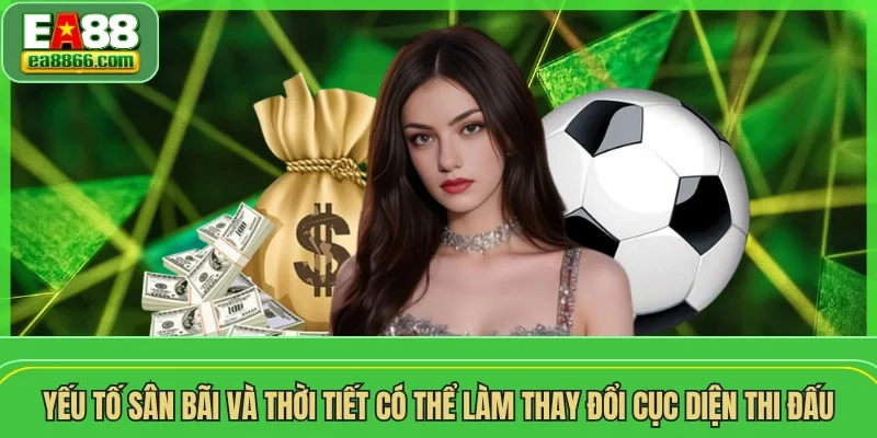 Yếu tố sân bãi và thời tiết có thể làm thay đổi cục diện thi đấu